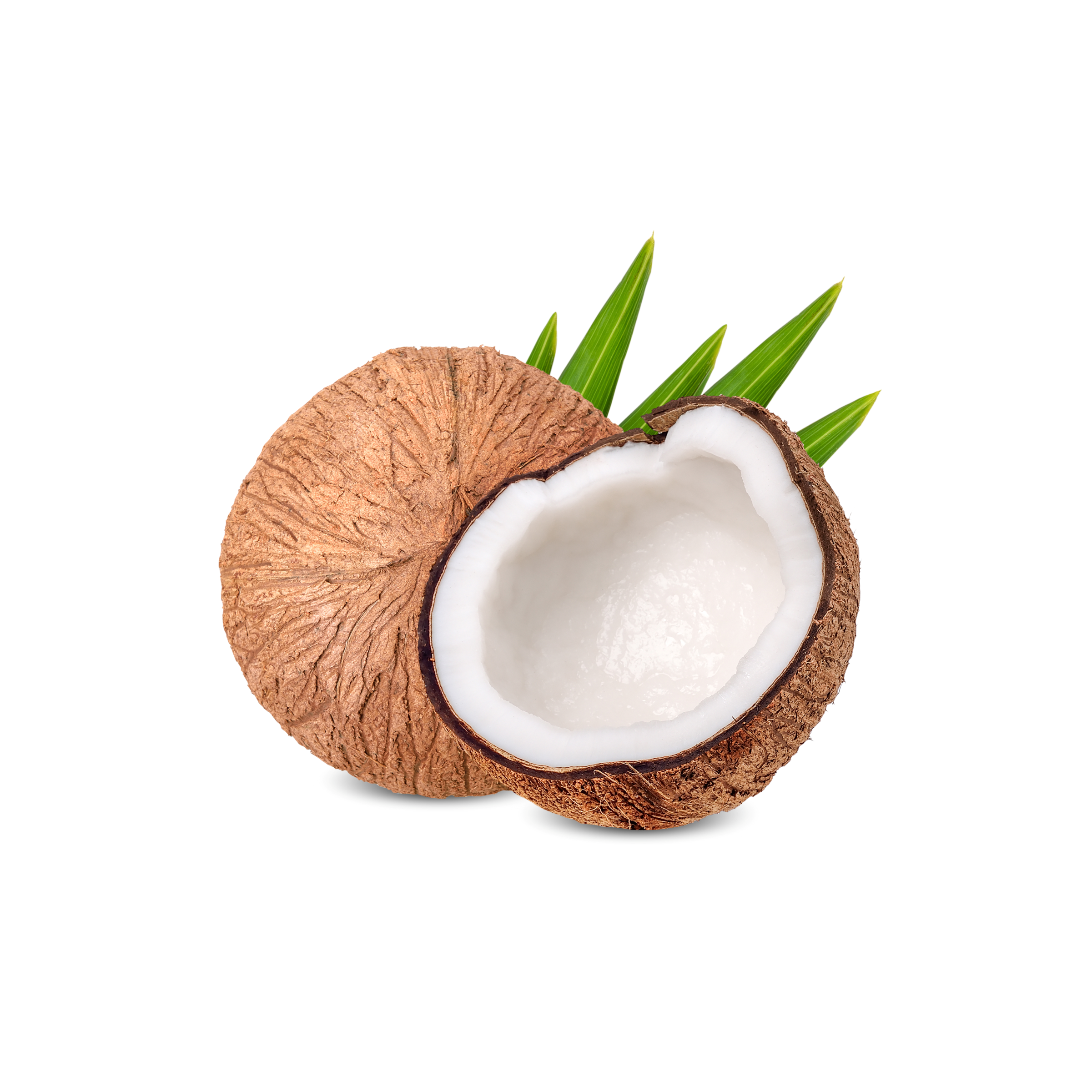 Extra Virgin Coconut Oil - IQ Organic Solution