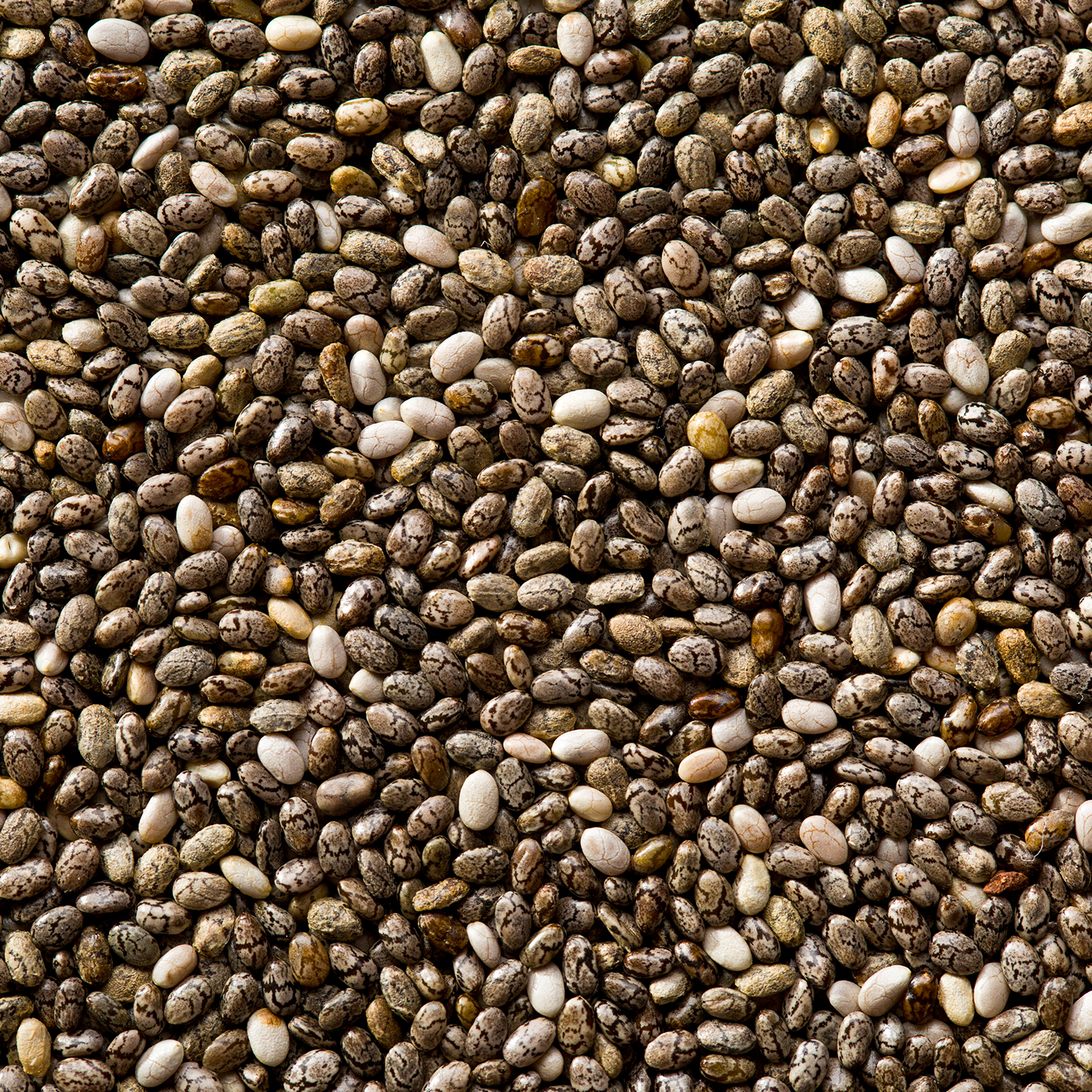 Chia Seed 300g - IQ Organic Solution™️
